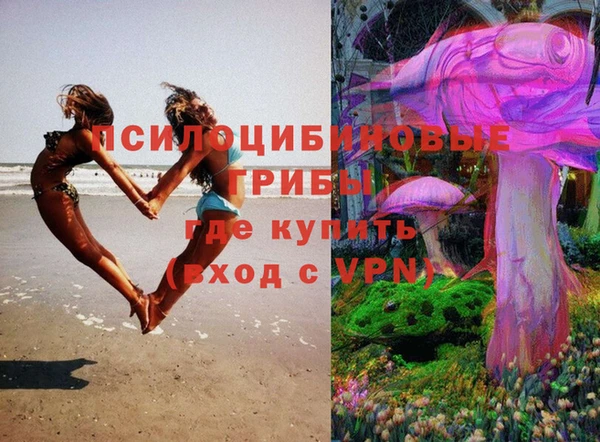 сатива Кинешма