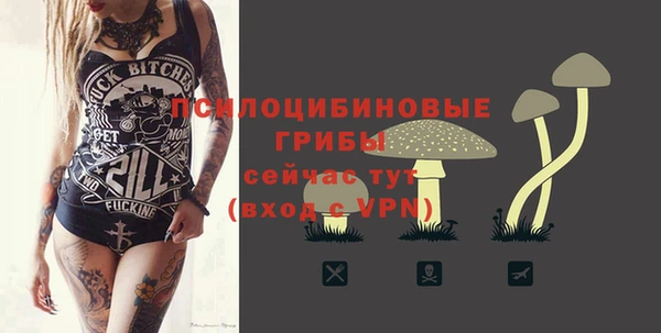 PSILOCYBIN Козловка