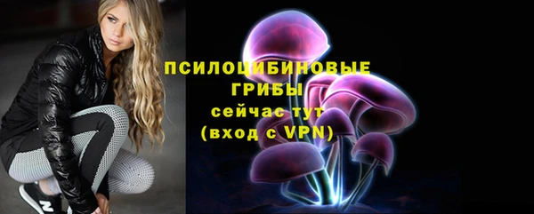 мдма Козельск