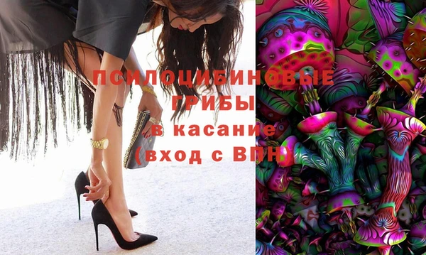 сатива Кинешма